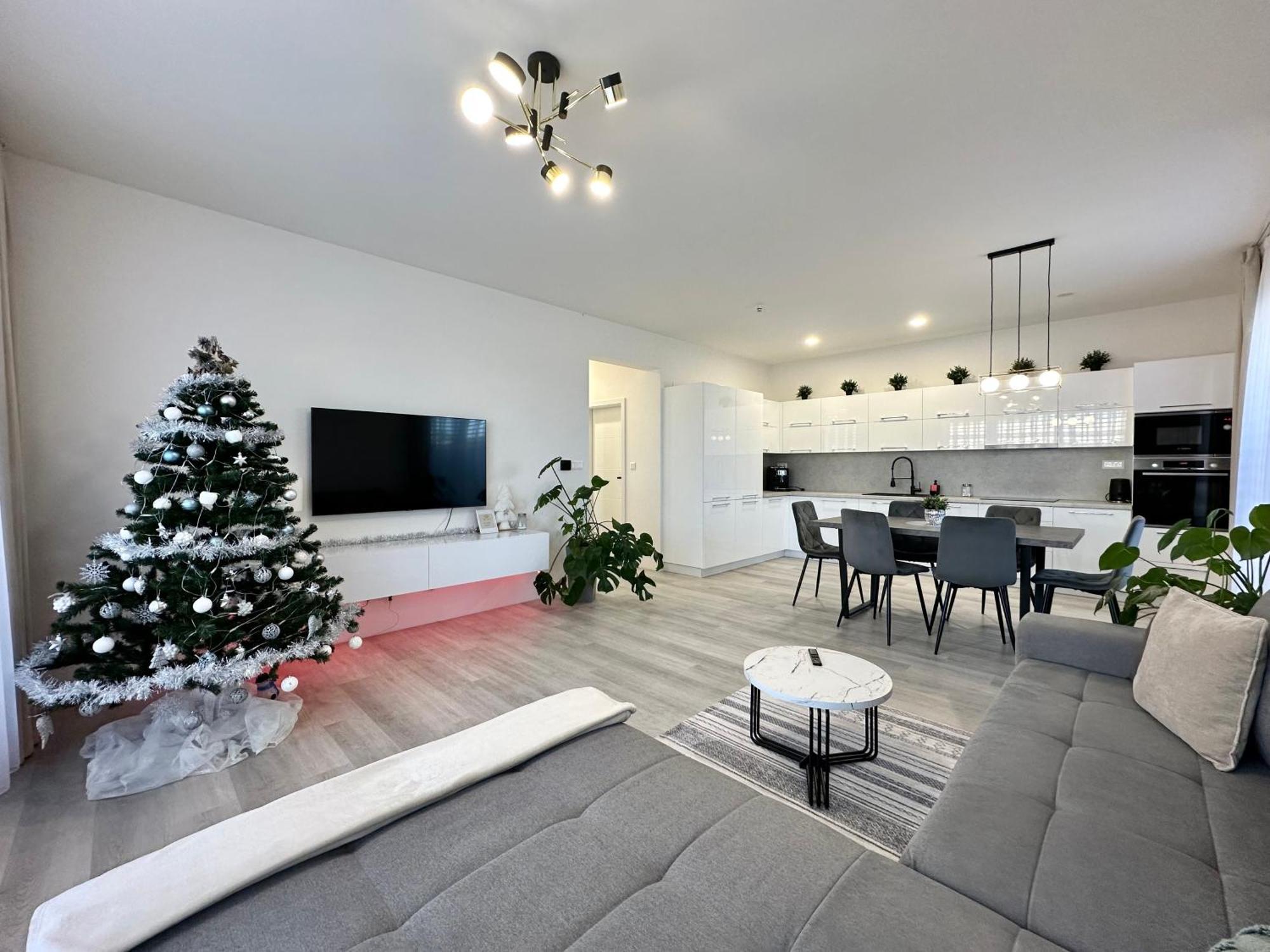 Klimatizovany Apartmanovy Dom S Virivkou, 9A セネツ エクステリア 写真